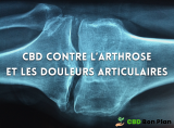 CBD et arthrose : comment soulager les douleurs articulaires avec l’huile de CBD ?
